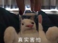 姐妹发自拍文案沙雕幽默，姐妹发自拍文案沙雕幽默句子